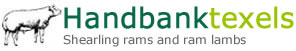 Handbank Texels